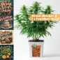 Preview: Grow Bucket Coco Mix